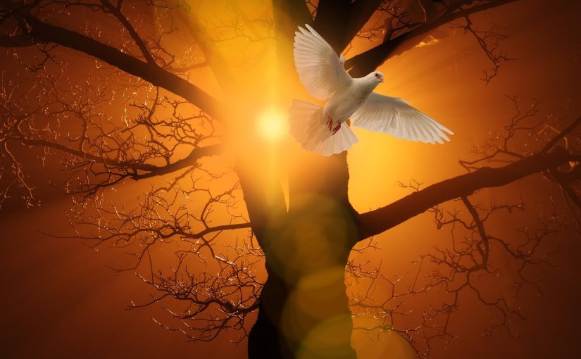 Hechos 1:8. Día de Pentecostés y Shavuot.
